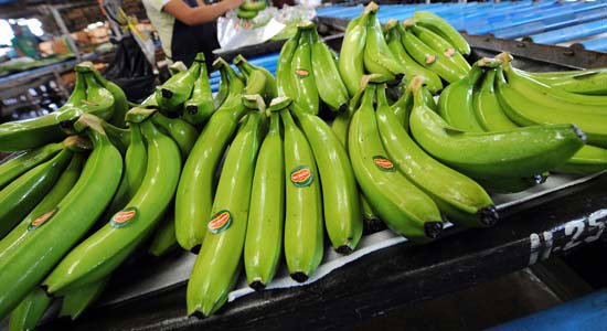 interaksyon's tweet photo. Banana industry in turmoil amid land disputes plaguing Davao. From @bworldph's Mindanao bureau chief Marifi Jara 
https://t.co/EFMHth9Iq8 https://t.co/Dbj2JOencH
