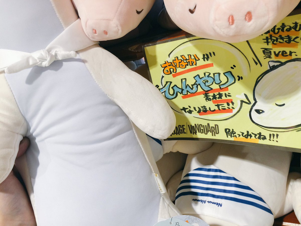 ヴィレッジヴァンガードイオンモール天童 Sur Twitter ひやひやねむねむ ねむねむ抱き枕夏ver 登場 暑い夜でも抱きしめたい お腹にひんやり素材を搭載しました ギフトにもオススメですよ ねむねむ ひんやり