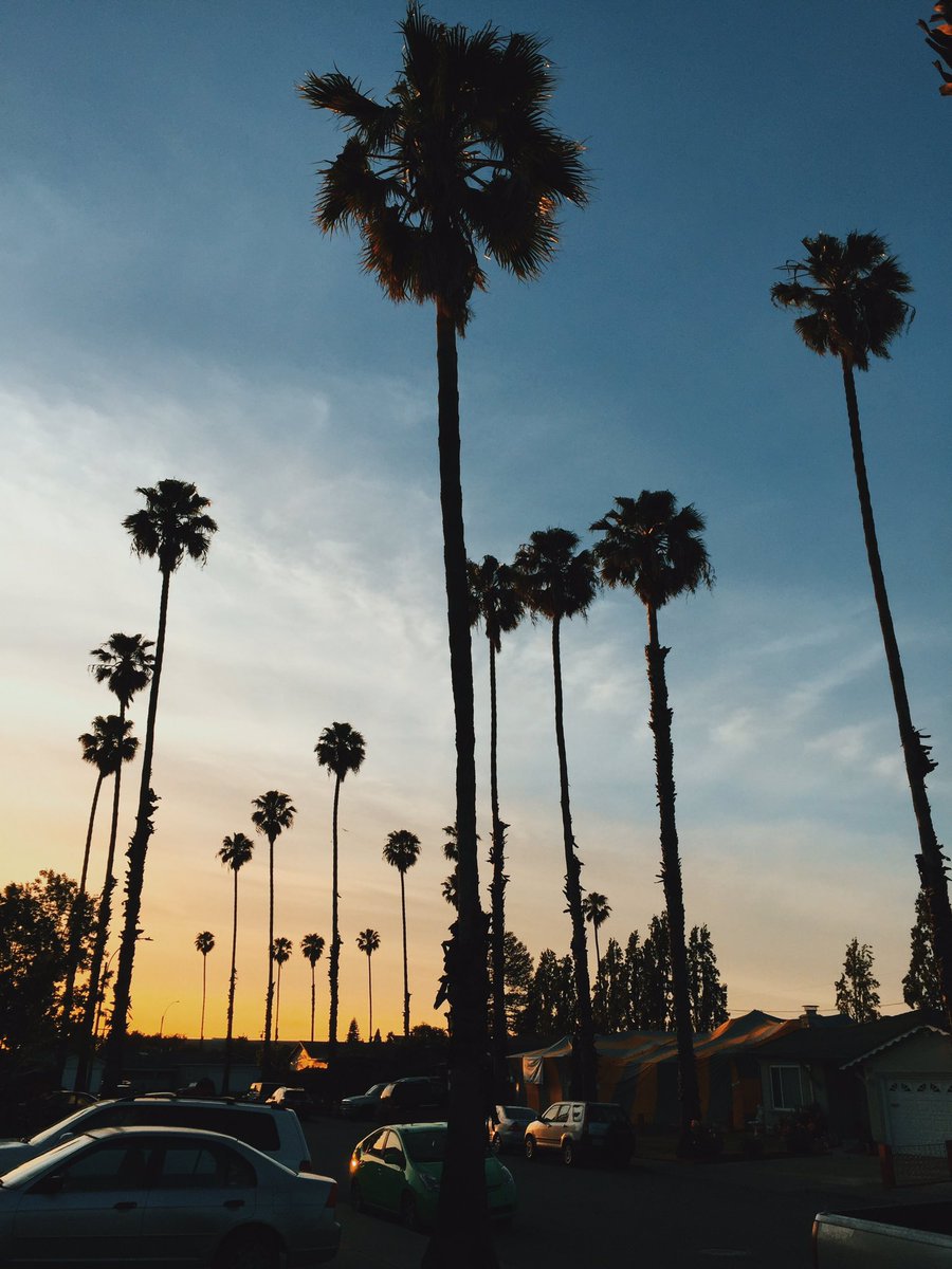 InvstdCo's tweet image. 28 Palms District