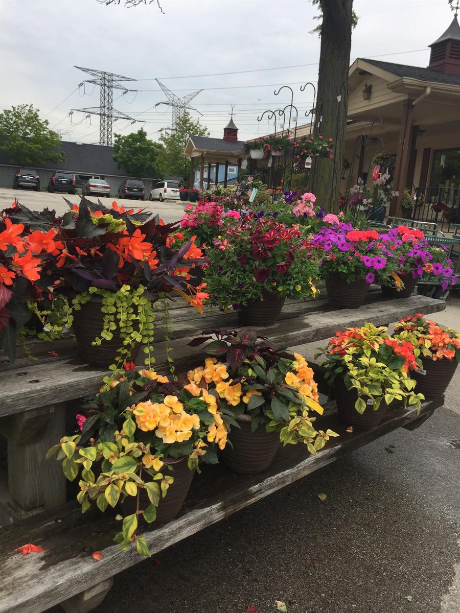 Bertholds Floral Bertholdsfloral Twitter