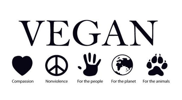 NinaAskov's tweet photo. #Vegan eller #entotarian? Mit bud: https://t.co/YC6cFVCR5c @alternativet_ @altingetse @DanmarksNatur https://t.co/7uDs3MlgN0