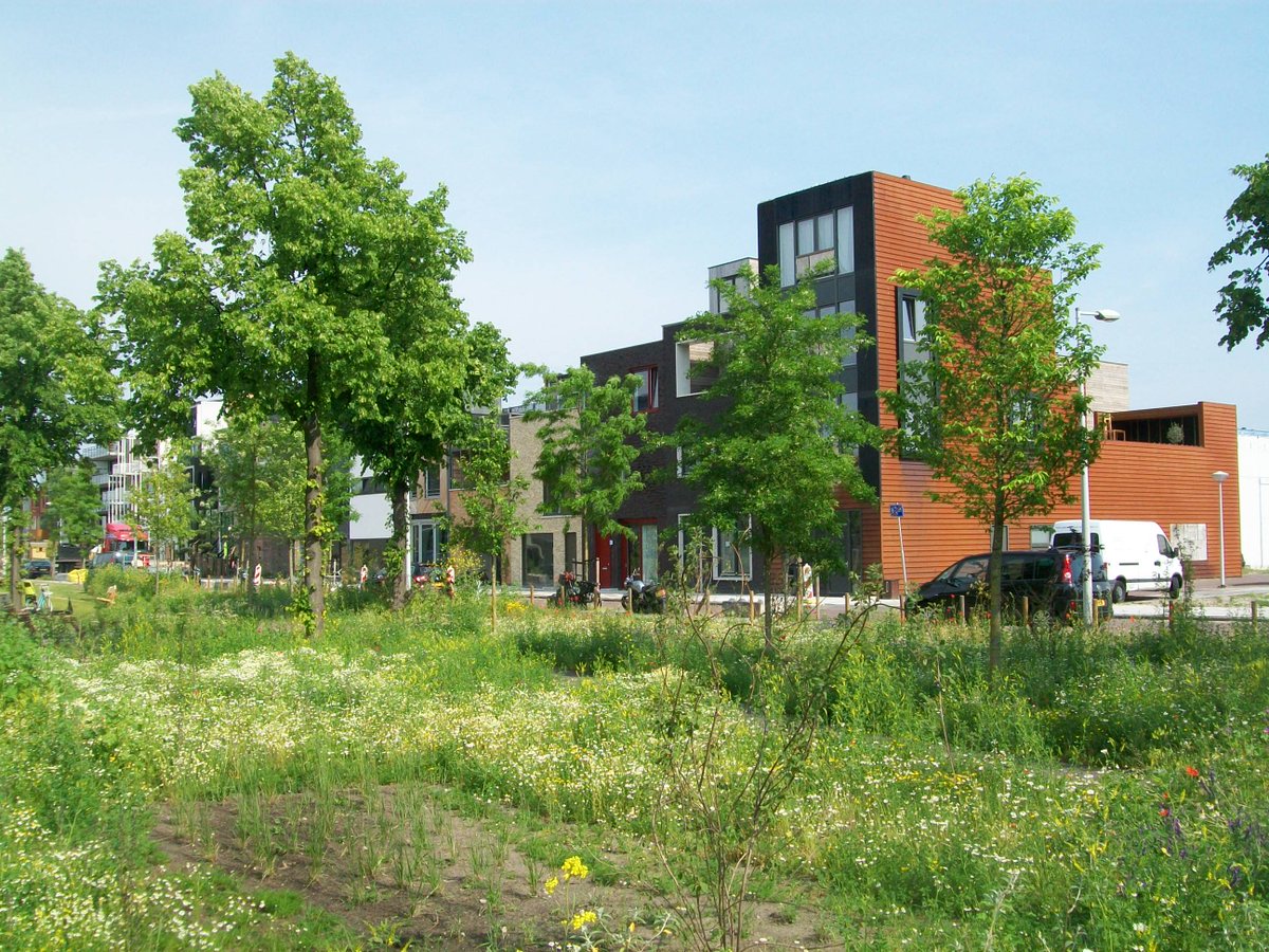 <a href="/zelfbouw020/">Zelfbouw Amsterdam</a> Buiksloterham <a href="/amsterdamnoord_/">amsterdamnoord_</a>  Park is de laatste tijd mooi groen geworden