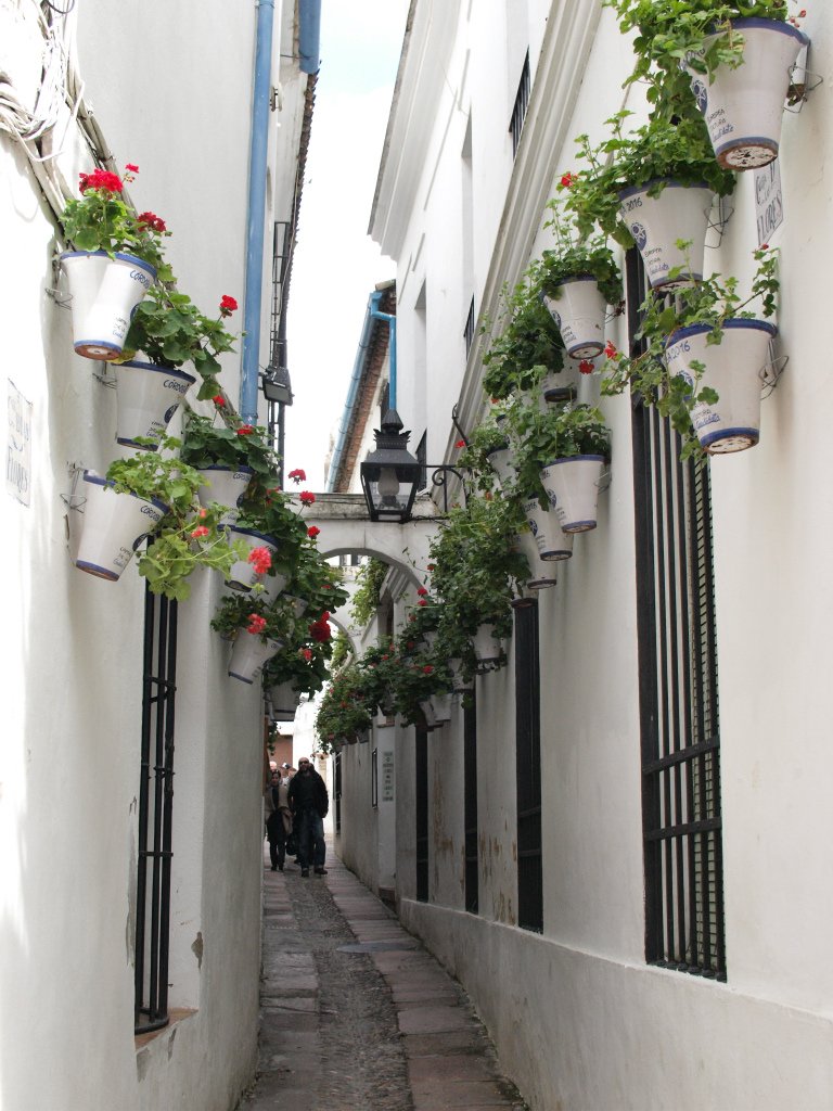 しか 鹿 Deer Olen Ciervo スペイン アンダルシアでもおそらくもっとも有名な路地 コルドバの 花の小路 奥行きシンドローム 世界路地裏同好会 T Co Gwlsjcux4x Twitter