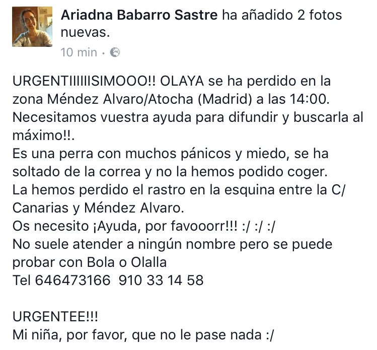 Ayudanimal01's tweet photo. #URGENTE 💔
OLAYA se ha perdido en la zona Méndez Alvaro/Atocha (#Madrid) 
DIFUNDID POR FAVOR 🙏🏼 
☎️646 473 166  
☎️910 33 14 58 https://t.co/6U2Kh8l0xX