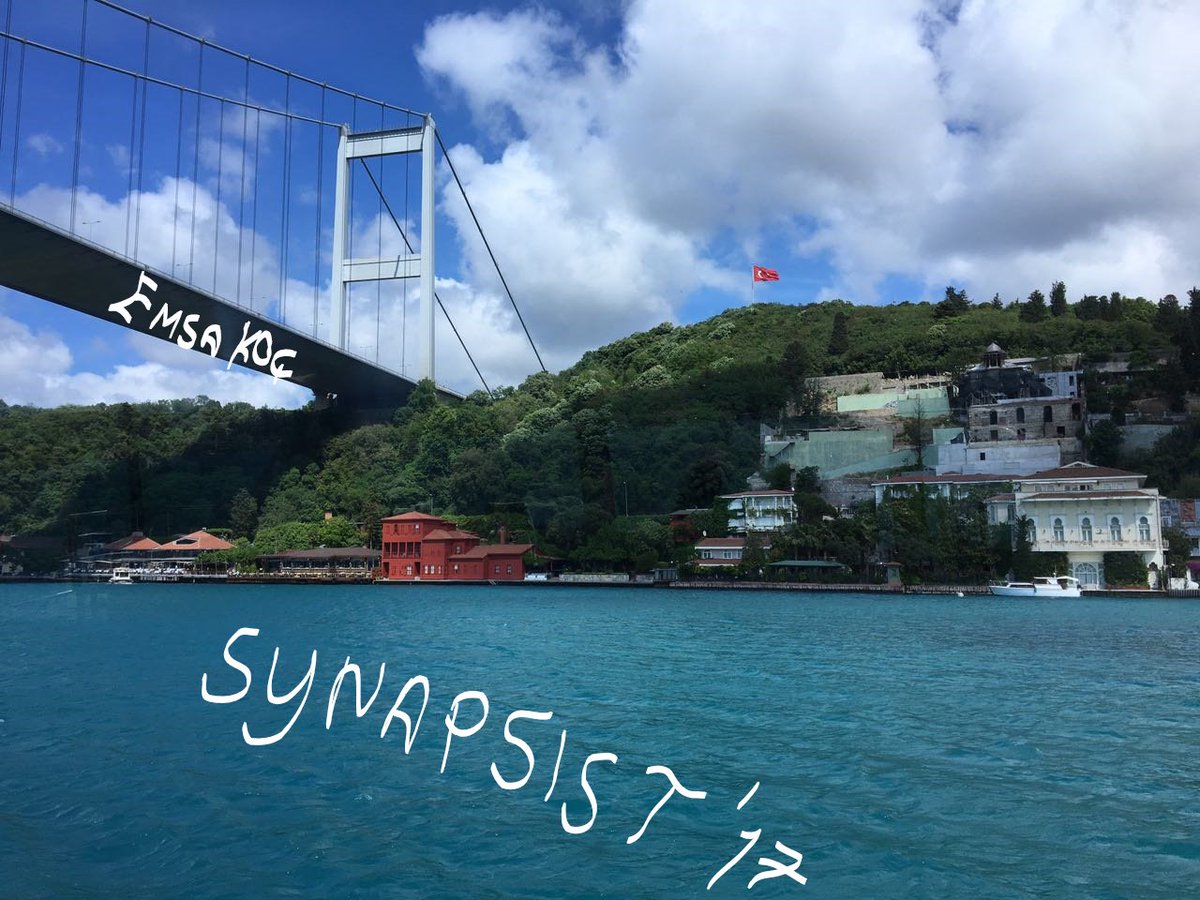 Last two days for the first registration of Synapsist'17. More Istanbul, More blue and More peace. Hurry up to apply for Synapsist'17.