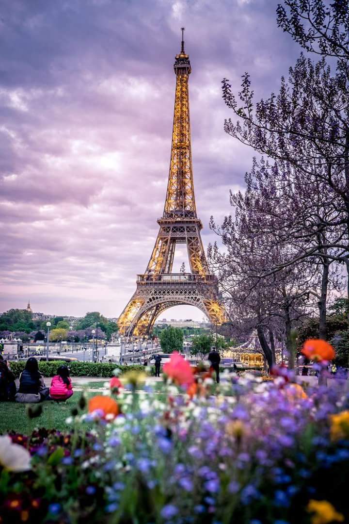 ScriptFrance's tweet photo. Wish You a nice Week @thescript @TheScript_Danny @benjaminsarge @RAlejandro3 #TheScriptFamily ! 🗼🎶💚
#TheScriptUnite
#ScriptMotivation
Katia. https://t.co/259bjpl8nn