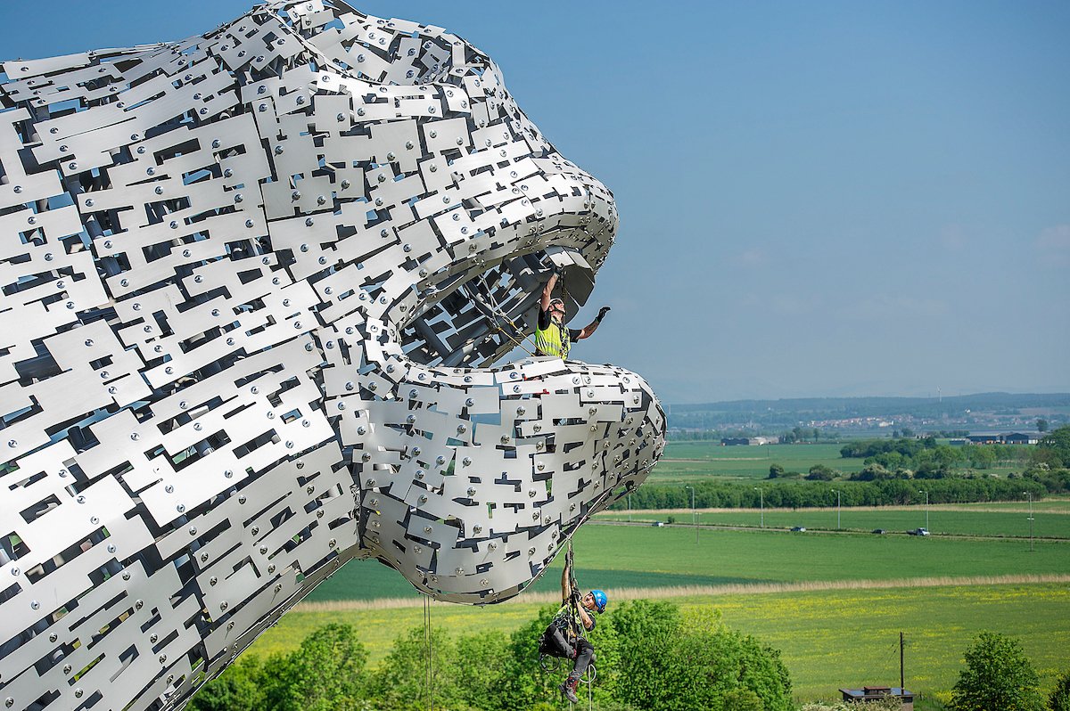 Even #TheKelpies need to floss!
Have you spotted our team giving <a href="/HelixFalkirk/">The Helix</a>'s canal guardians their first vet check?