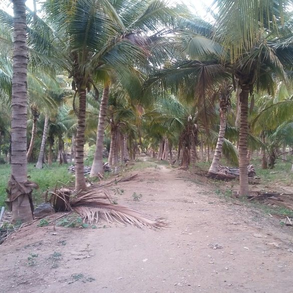 MaheDreams's tweet photo. No matter what #nevergiveup
day31 of #100days500kms #100daysofrunning.
#ctc #adidasrunners #adidasrunning #adidasUprising #hellrun #ctc https://t.co/uh36KWcSKb