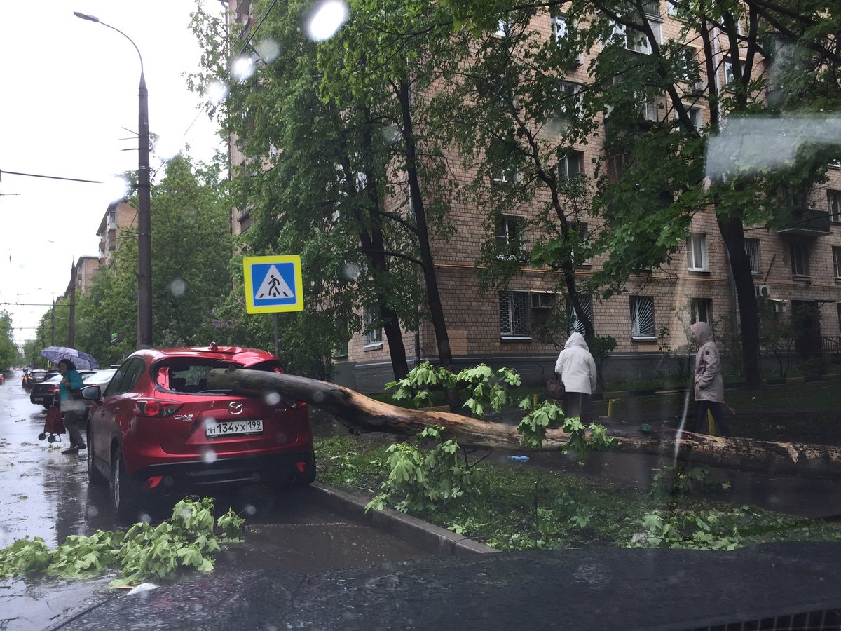 Free_elefant's tweet photo. #ураган #москва #ломоносовский жуть, как в кино, вот-вот ещё и годилась по академии наук полезет с воплями https://t.co/AyzlO8W7zO