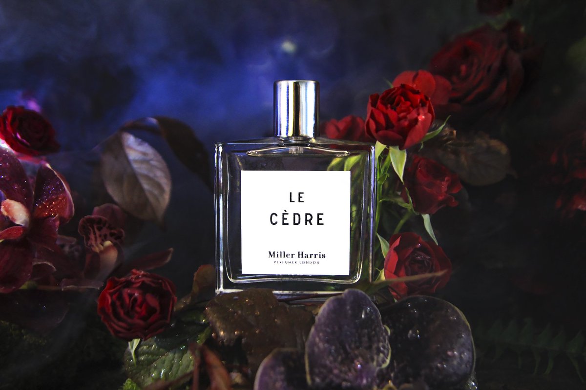 Miller_Harris's tweet photo. Miller Harris In Bloom with London Florist Baxters Flowers - Shop Le Cèdre at https://t.co/82rbOvyfgM #MillerHarrisInBloom https://t.co/DpKSvnDX9Y