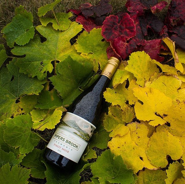 The 2015 #PipersBrook Reserve #PinotNoir is the first reserve vintage since 07. The alluring spice of #Tasmania lives in this luscious wine.