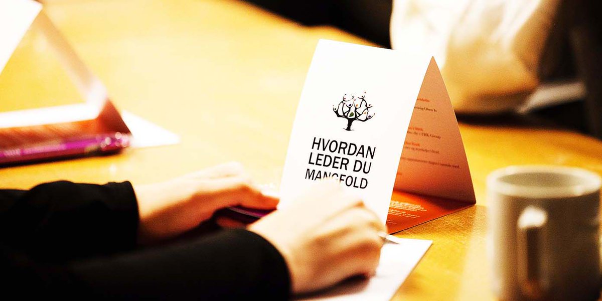 Hvordan lede mangfold og hvordan sikre gode tjenester til den mangfoldige brukergruppen? Påmeld deg kurs i mangfoldsledelse på post@seema.no