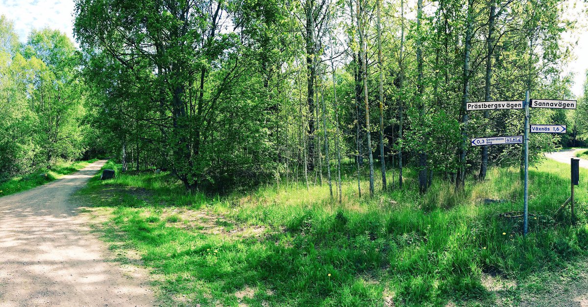 pelle prestberg tweet media