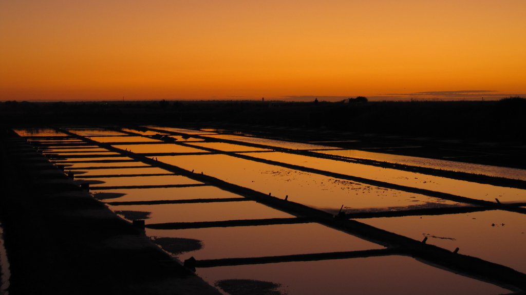 France 3 Poitou-Charentes tweet media