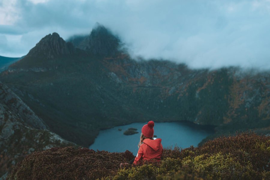 Discover Tasmania tweet media