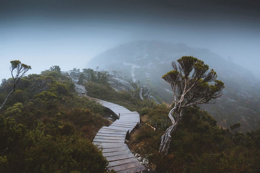 Discover Tasmania tweet media