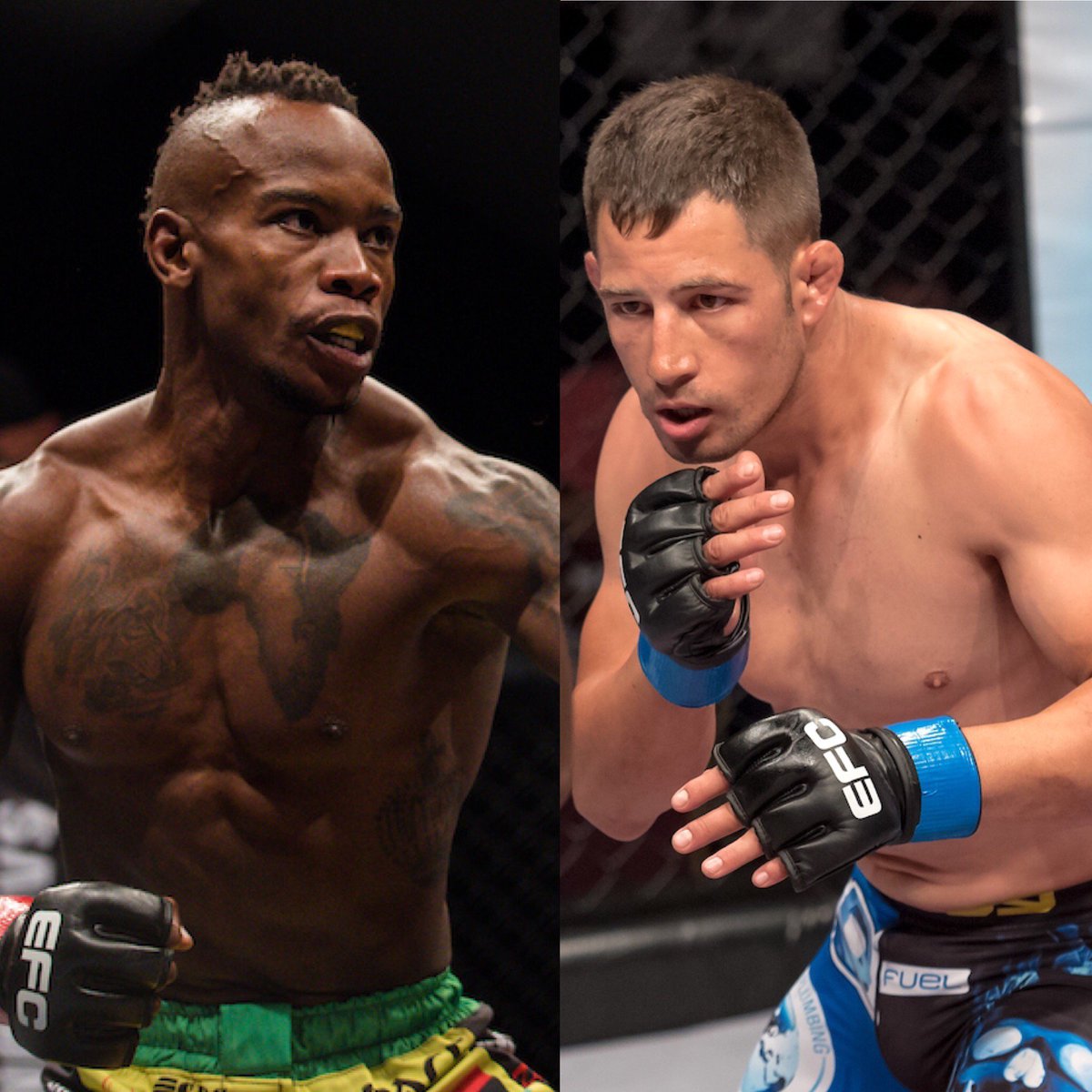 #EFC61: <a href="/TumisangMadiba/">The President</a>
vs Gareth Buirski added to the monstrous card. 

Saturday 8 July | Tickets on sale soon...