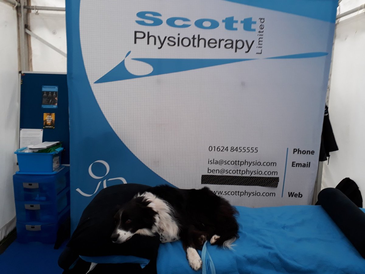Scottphysio's tweet photo. Nell is in the building, managed to get herself stuck under car seat on way in to paddock. #dogsofTT https://t.co/5V7yGPCHs2