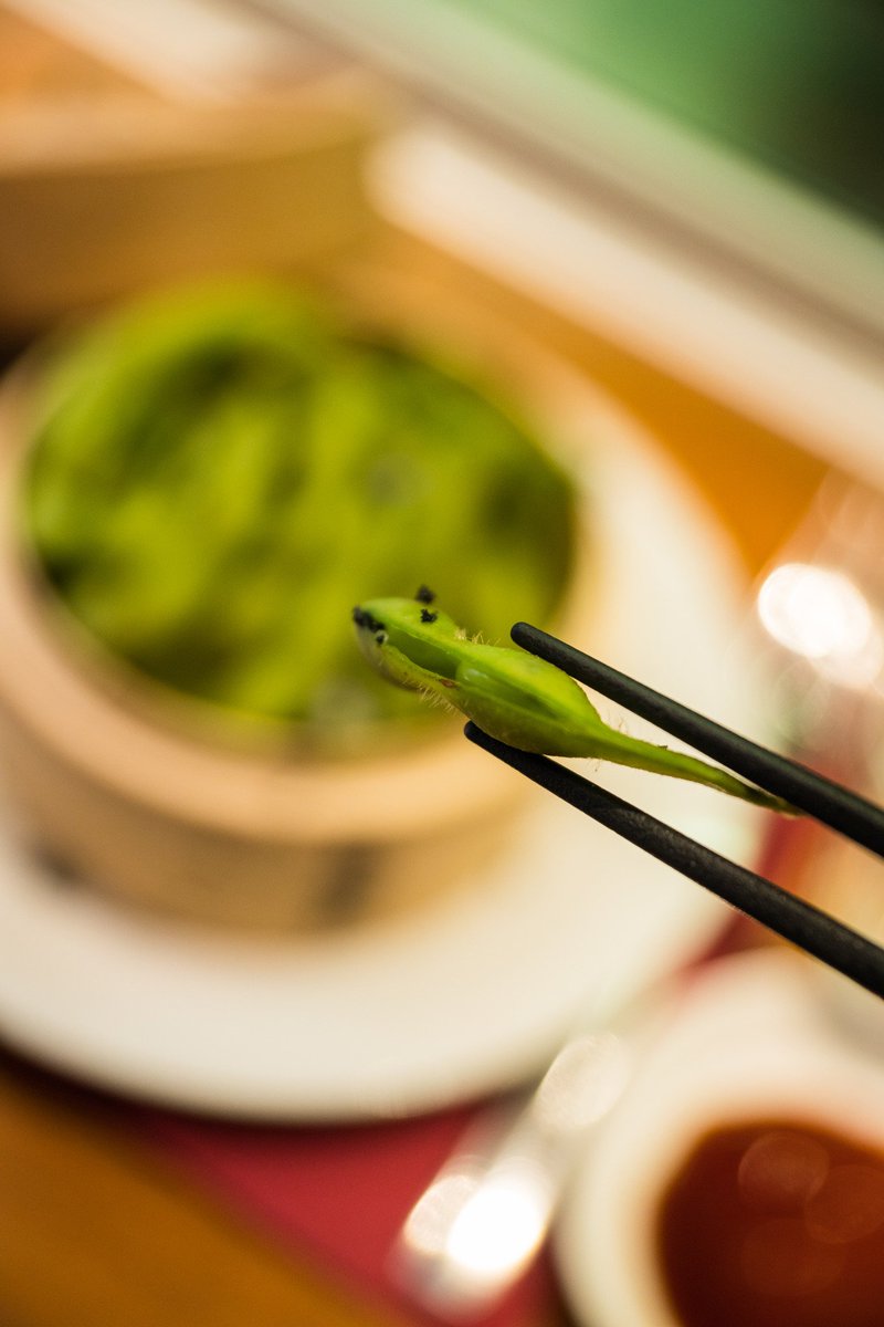 PastaBMilano's tweet photo. Uno tira l'altro!
#edamame #pastab #pastabmilano #antipasto https://t.co/ch7LPa80zY