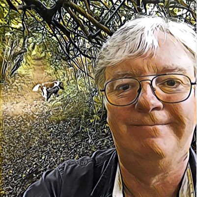 MikeJ_Dev's tweet image. #NewProfilePic