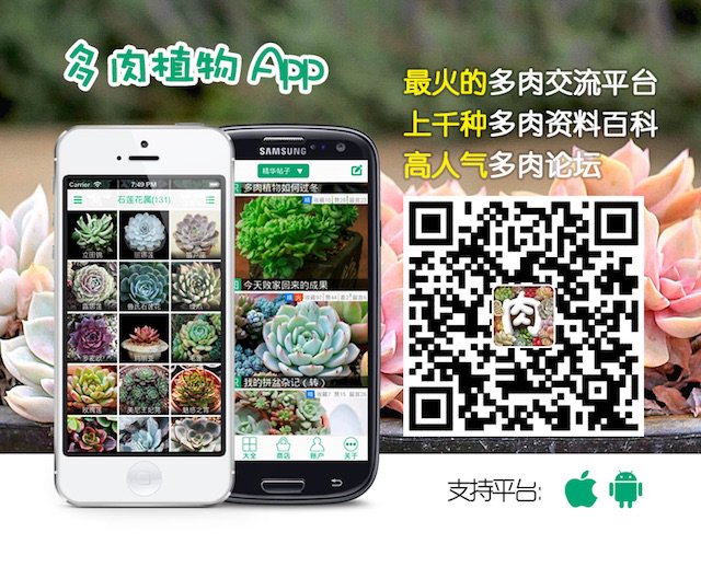 玩多肉怎能不上 #多肉植物app#，最火最专业的多肉论坛，还有1000余种多肉图鉴介绍！免费安装地址： duorou.me/duoroudown/ind…