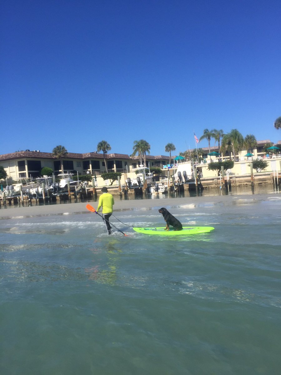SSA Jupiter Fl tweet media