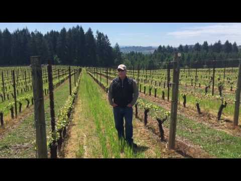 Wine Central tweet media