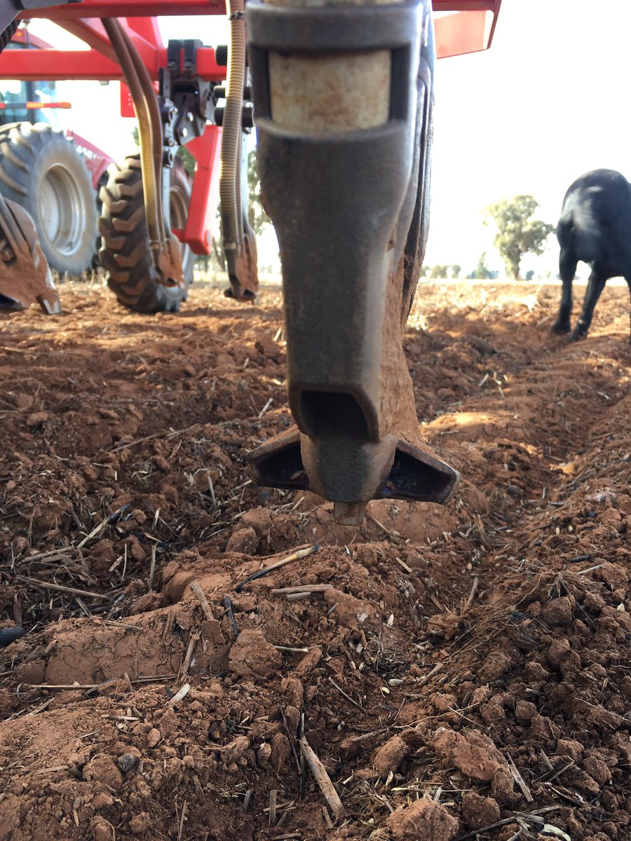 grassrootsag's tweet image. Rootboot paired rows working perfectly for McDougall Bros at Ardlethan. 10" back to 7" on red loam &amp;amp; grey clay soils #cropcomp @ajmcdougall
