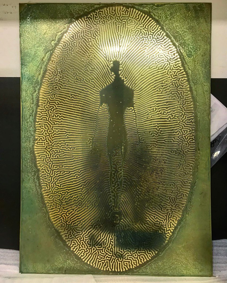 Mushroom coral inspired etching by <a href="/Trzebinski_art/">Stanislaw Trzebinski</a>
Join us this Wednesday from 18:00 for the Foundry Gallery launch exhibition!