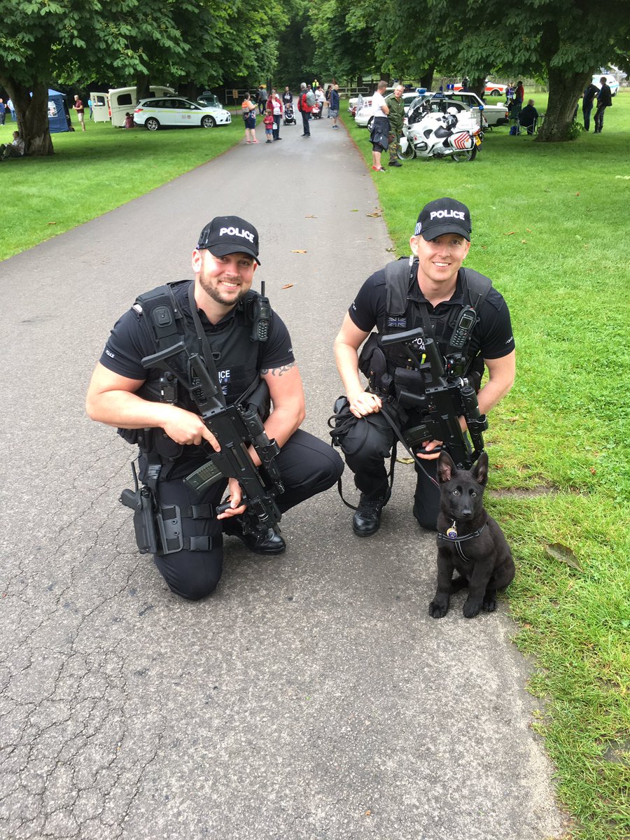 K9_Chilli's tweet photo. Don't worry, we've got this covered! https://t.co/kAvd8bOi7E