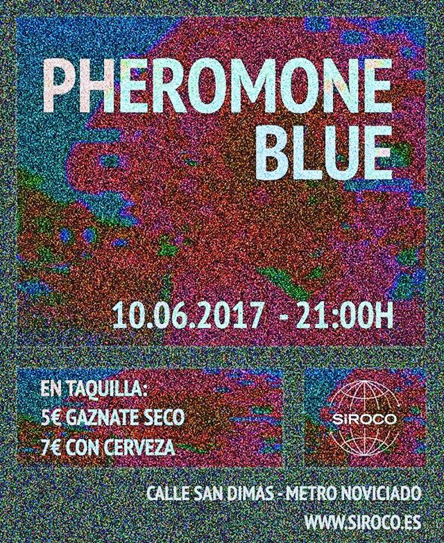 Pheromone_Blue's tweet photo. There we go again! @SirocoSala https://t.co/Sa2SxDEaJy