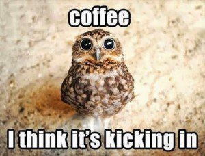 8020Growth's tweet photo. Start this Monday off right #mondaymotivation #MondayMorning #caffeine https://t.co/NkhBs6rYKy