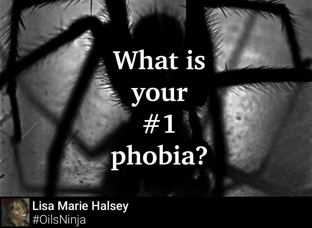 LisaMarieHalsey's tweet photo. This is going to be interesting! #Phobia #DontBeScared https://t.co/vWNTcPUZd1