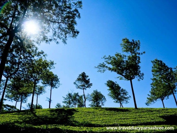 Altertrips's tweet photo. A mesmeric virtual tour of Munnar- a quaint #hillstation in the Indian State of Kerala https://t.co/Xs0QIdGL7G @parnashree19 #OffbeatPlace https://t.co/9y62h9zqWO