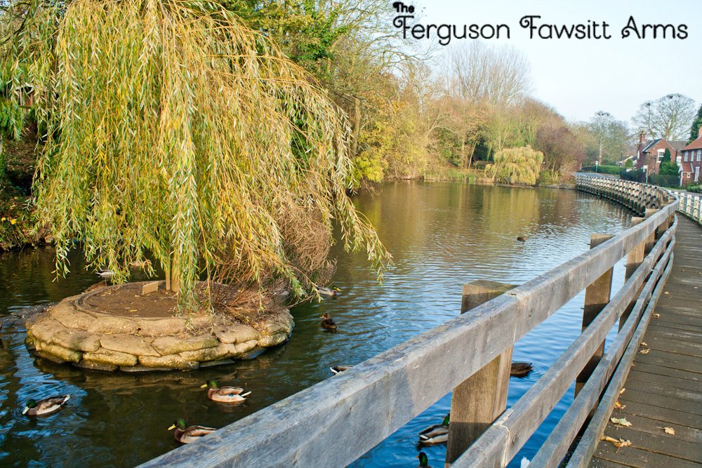 The Ferguson Fawsitt tweet media