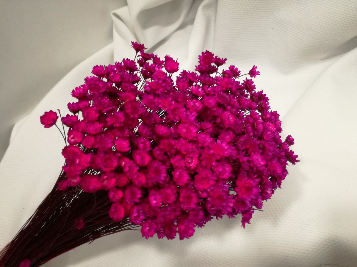 CosturasJaen's tweet photo. Os enseñamos glixia en varios colores que hemos ido recibiendo.¡Anímate a crear tu propio tocado! #MerceríaEntreCosturas #Flores #Tocados https://t.co/MEPUbldIgJ