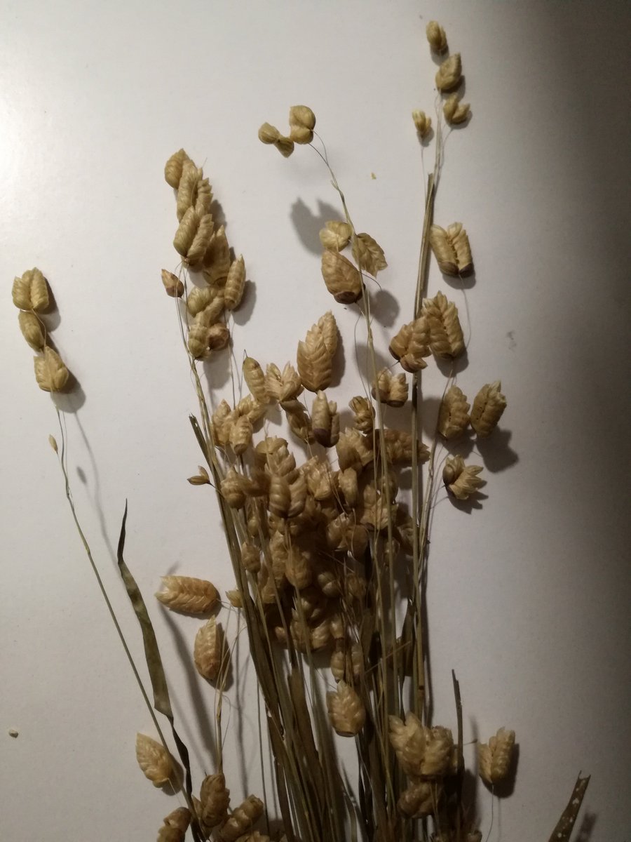 CosturasJaen's tweet photo. Os enseñamos briza en varios colores que hemos ido recibiendo.¡Anímate a crear tu propio tocado! #MerceríaEntreCosturas #Flores #Tocados https://t.co/fymZ5ZGD8e