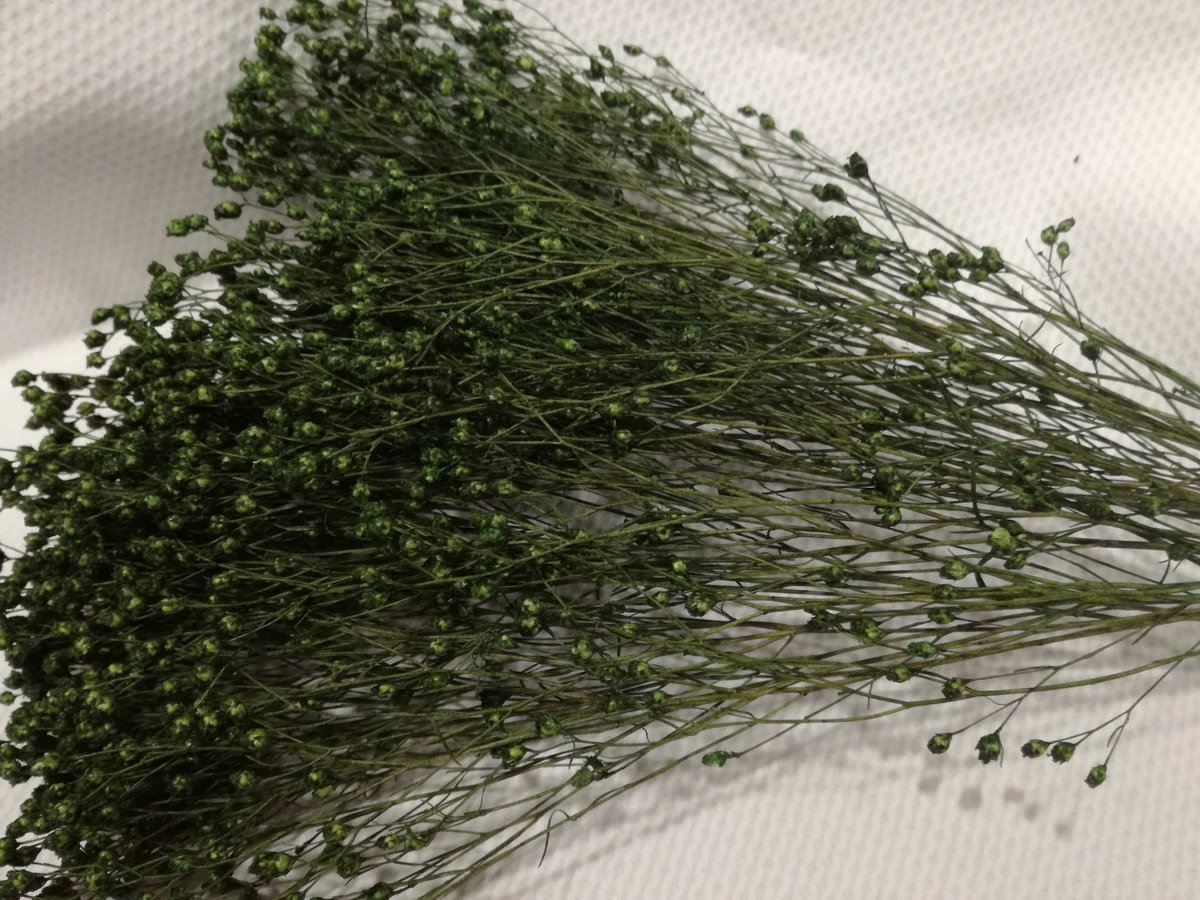CosturasJaen's tweet photo. Os enseñamos Brooms en varios colores que hemos ido recibiendo.¡Anímate a crear tu propio tocado! #MerceríaEntreCosturas #Flores #Tocados https://t.co/dN2M7JVjr5