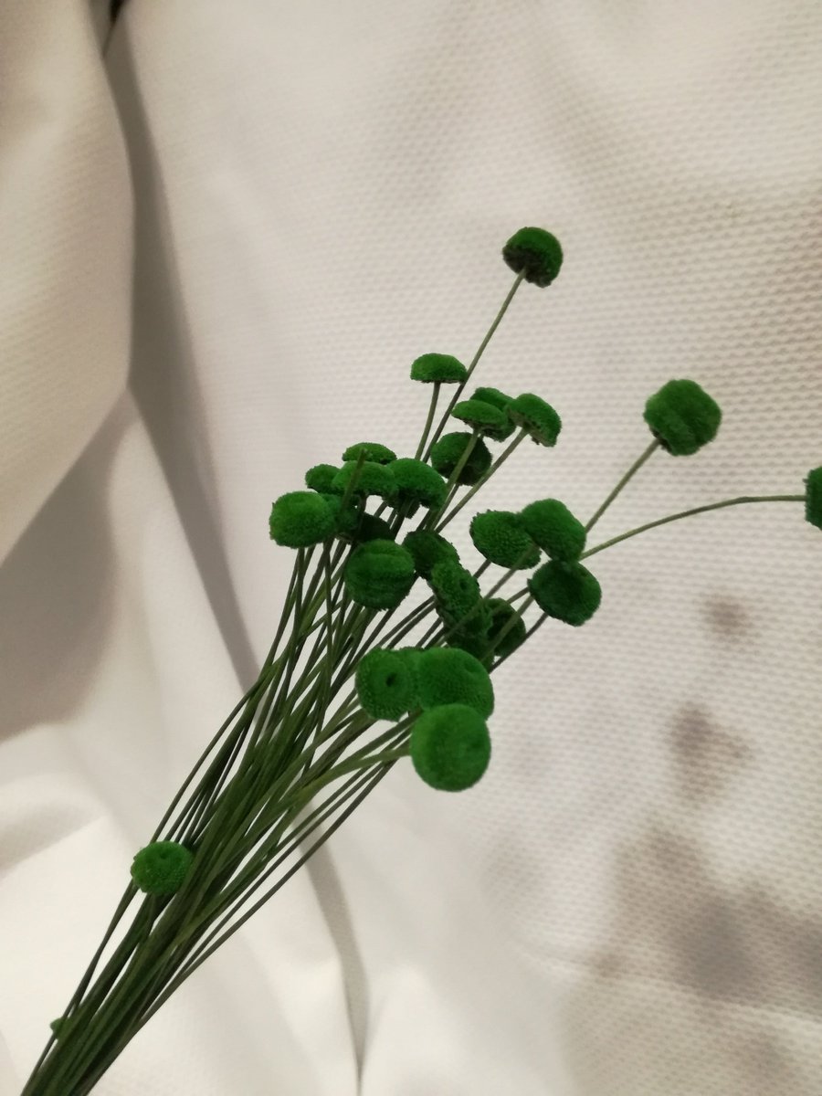 CosturasJaen's tweet photo. Os enseñamos boatos en varios colores que hemos ido recibiendo.¡Anímate a crear tu propio tocado! #MerceríaEntreCosturas #Flores #Tocados https://t.co/bQKCgr6FMR