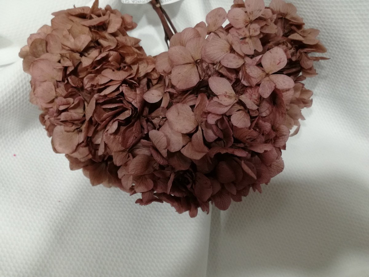 CosturasJaen's tweet photo. Os enseñamos hortensias preservadas que hemos ido recibiendo.¡Anímate a crear tu propio tocado! #MerceríaEntreCosturas #Flores #Tocados https://t.co/dLOJvFRkz0