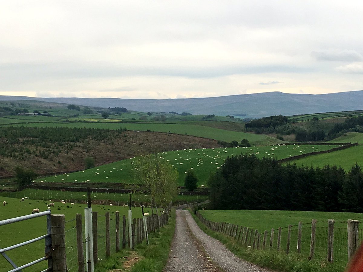 LauraBlenkharn's tweet photo. @farmerandhisdog eggs and sticks. Dad wanted you to see his paddock grazing. Your gonna have to convert him to twitter now. https://t.co/6EfKyBaqg1