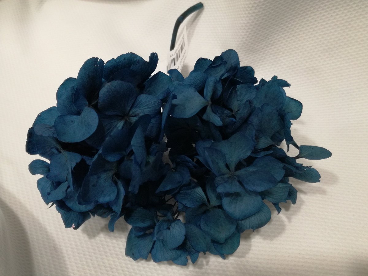 CosturasJaen's tweet photo. Os enseñamos hortensias preservadas que hemos ido recibiendo.¡Anímate a crear tu propio tocado! #MerceríaEntreCosturas #Flores #Tocados https://t.co/EiTD4v481D