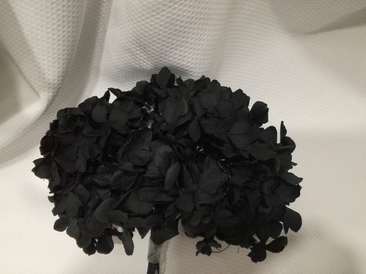 CosturasJaen's tweet photo. Os enseñamos hortensias preservadas que hemos ido recibiendo.¡Anímate a crear tu propio tocado! #MerceríaEntreCosturas #Flores #Tocados https://t.co/EiTD4v481D