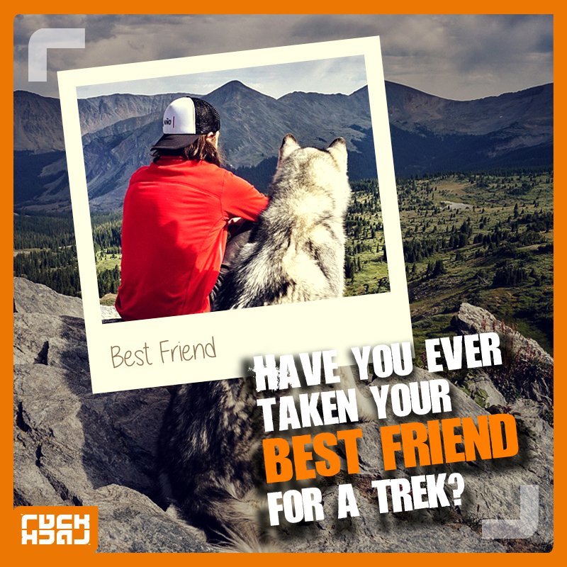 Ruckjack_'s tweet photo. Have you tried trekking with your dog? Share your story with us! #RuckJack #TravelBuddy https://t.co/9JOOKY0meL