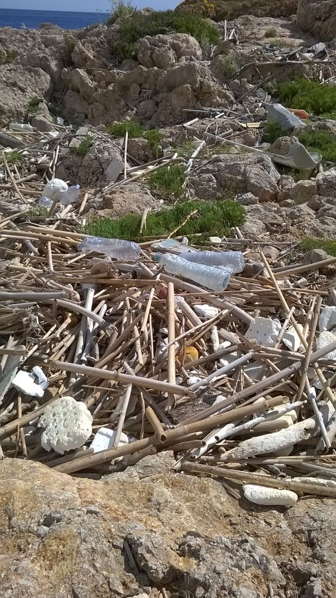 Quanta plastica in spiaggia a #Levanzo!
Prosegue progetto #Plastic di Pablo Dilet 
Con i rifiuti facciamo un'opera d'arte