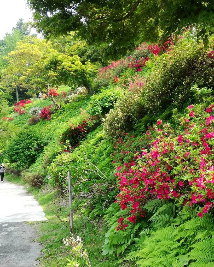 茶臼山公園 Twitter Search 茶臼山公園 Twitter Search