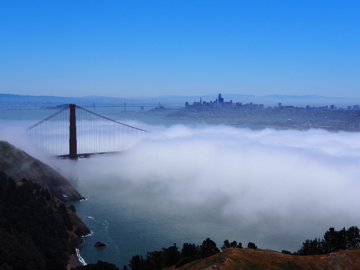 Amy Saper’s pics and videos