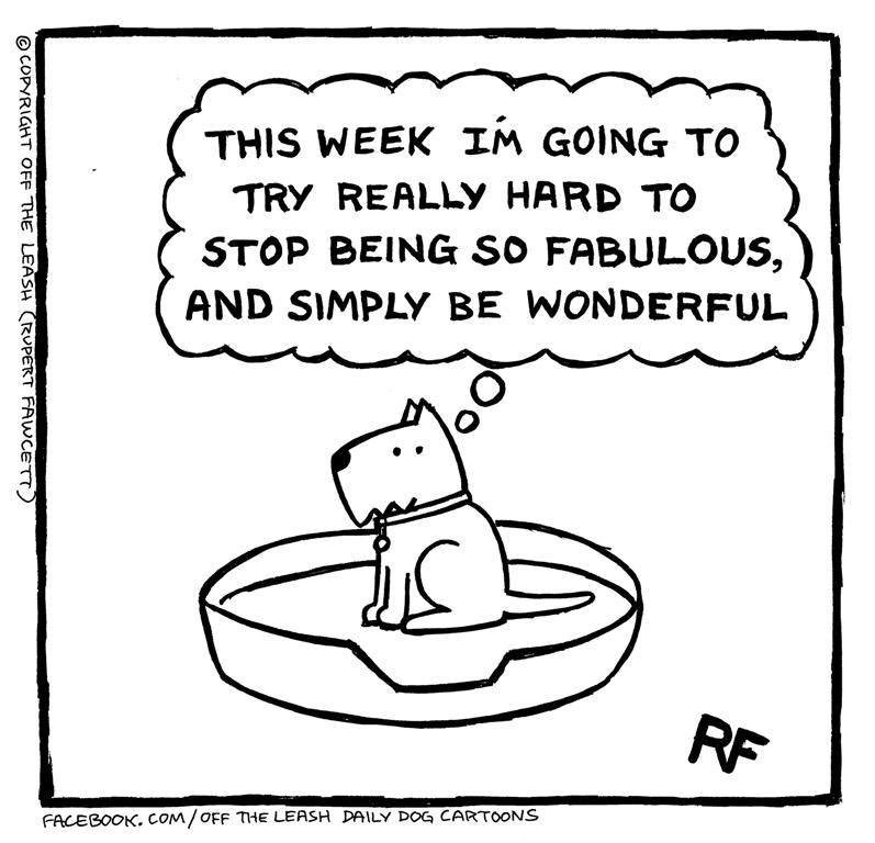 Hels_witterings's tweet photo. Gooooooood Morning Tweeters☕️🤗 https://t.co/DYgsCVO36I