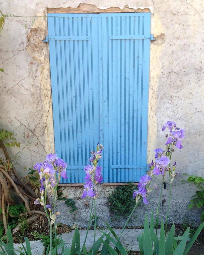 ADPSANTIQUES's tweet photo. Blue shutters & irises #coloursofprovence #morningwalk #shutters #irises #blue #antiquebuyinginfrance #ADPSantiqu… https://t.co/KcK8hWEZHE https://t.co/8MKtlu28Ve