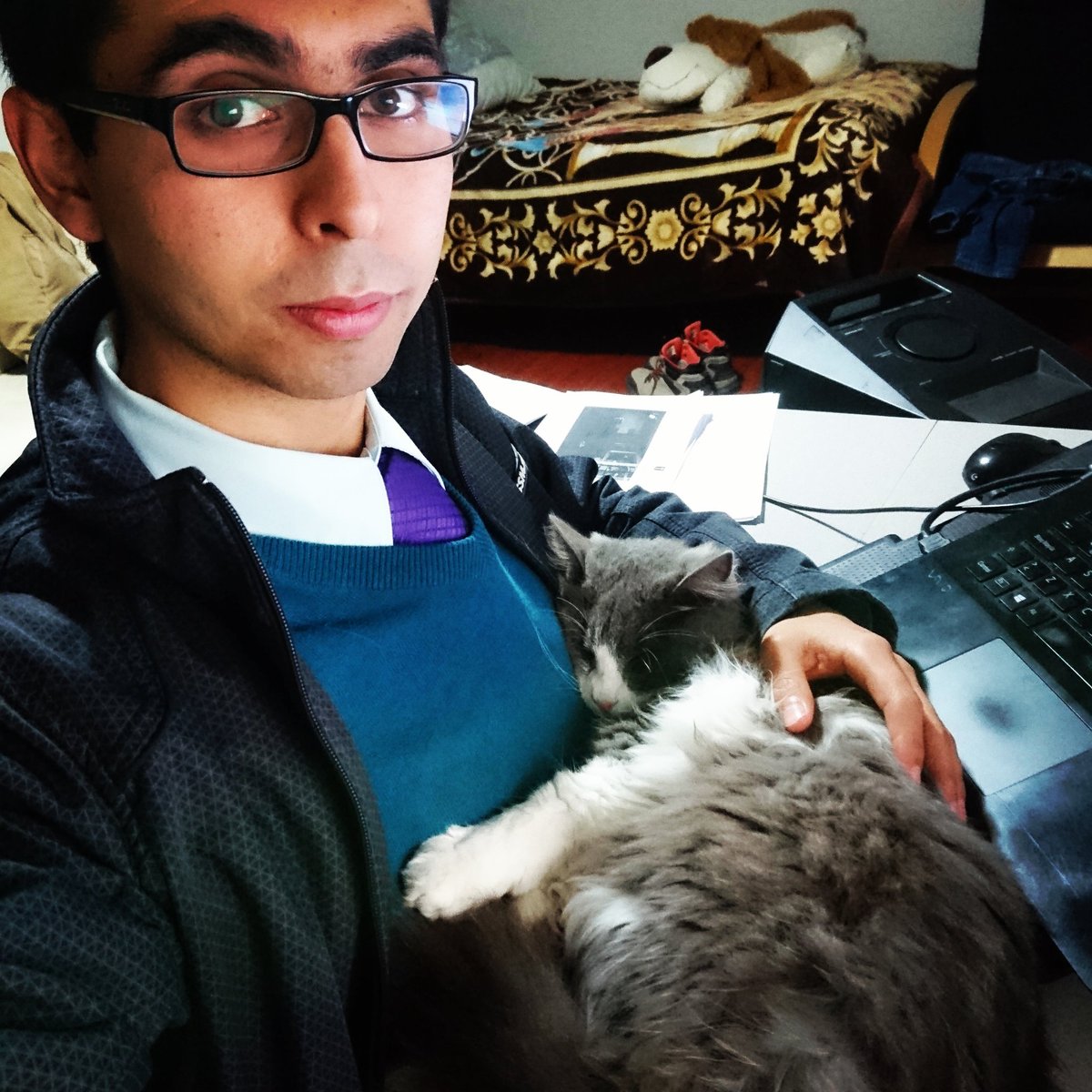 M_Intech's tweet image. Working with the beautiful &quot;Pazita&quot;. God, always take care of her.  Please. #cats #animals #sleep